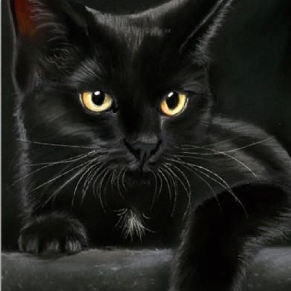 Meet your Posher, Lesley